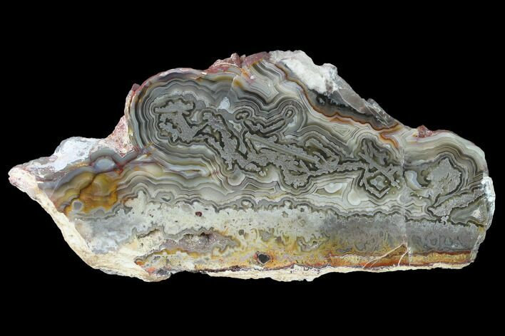 Polished Crazy Lace Agate Slab - Mexico #141204